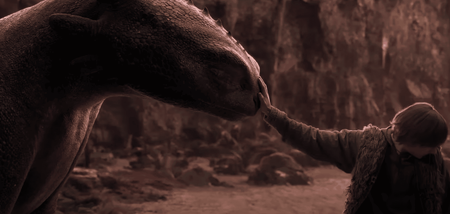 film still from How To Train Your Dragon showing Hiccup petting Toothless, the dragon