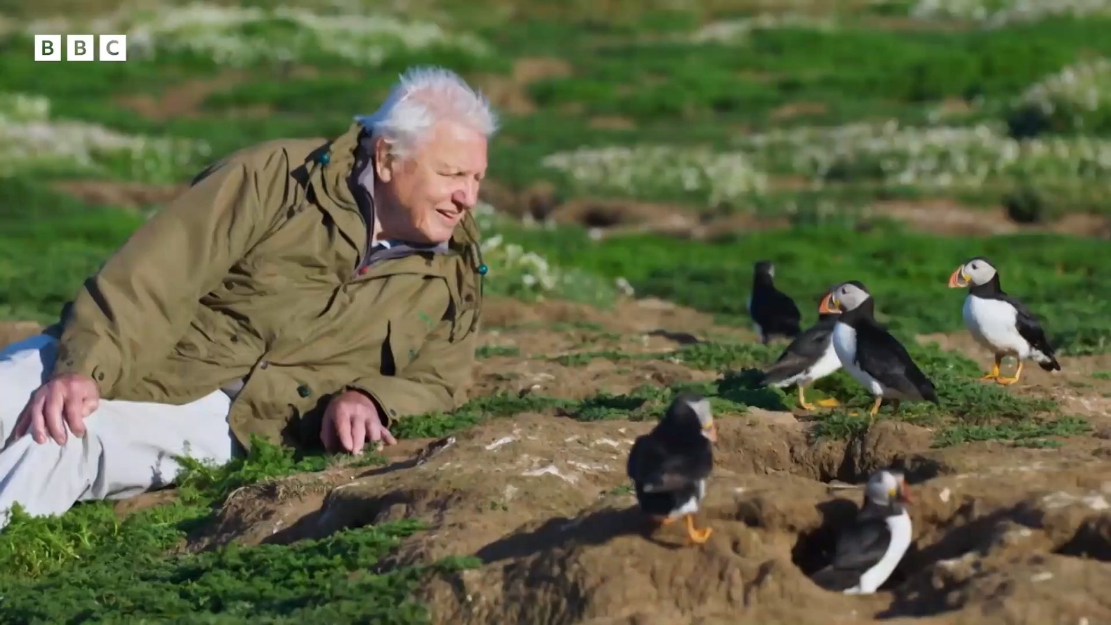 Wildlife filming: What to consider