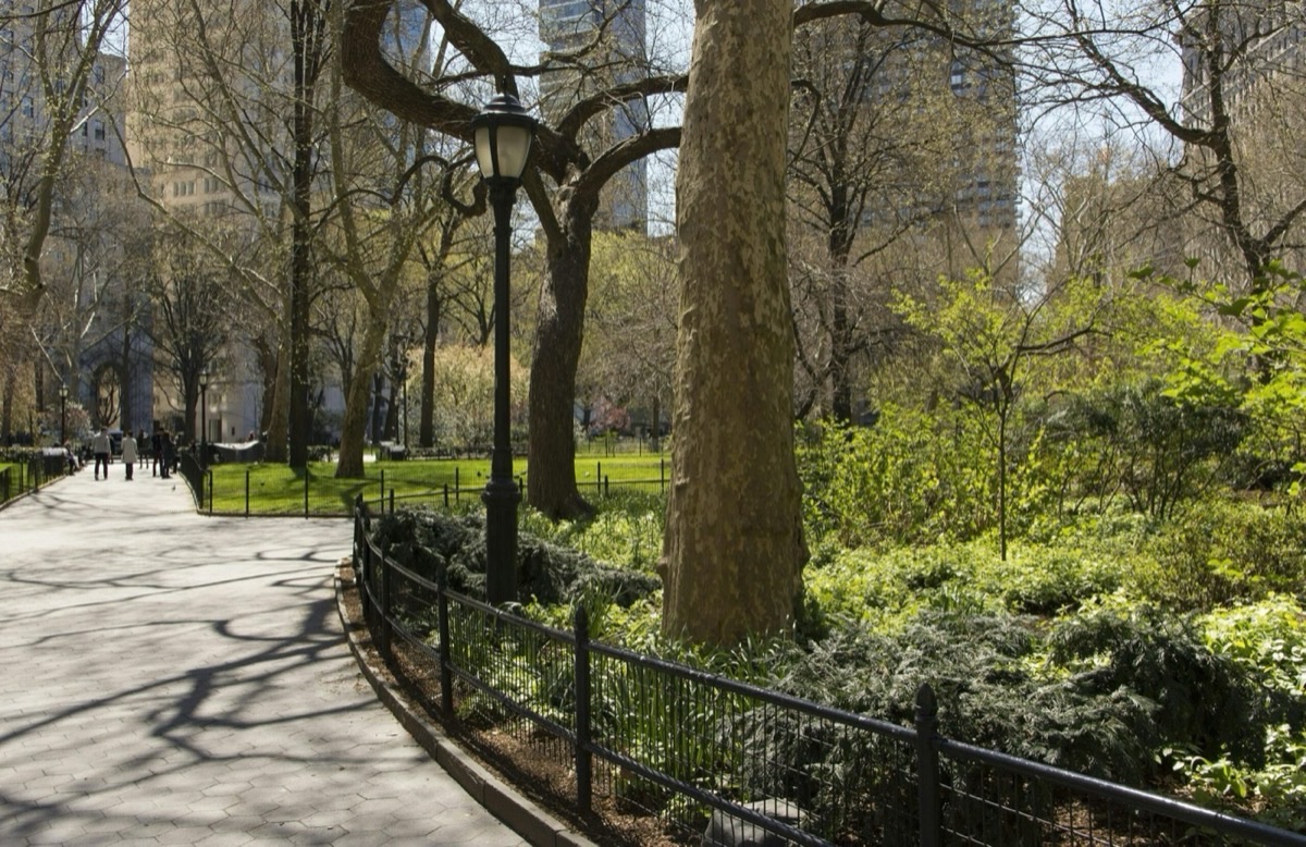 image of central park, an iconic filming location in New York City