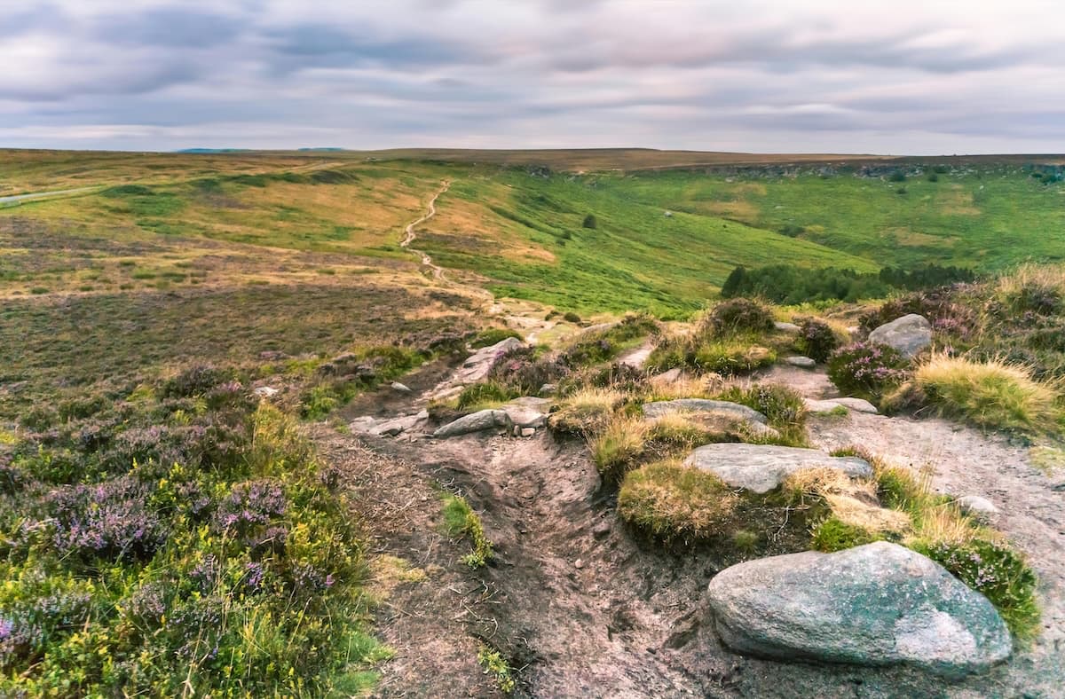 Rugged moorland path with heather on the Peak District moors, a Pride and Prejudice filming location in Derbyshire