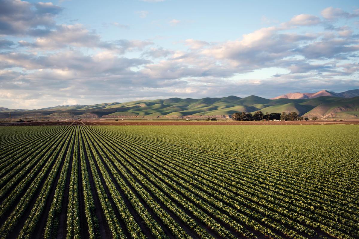 10 British farm locations for filming